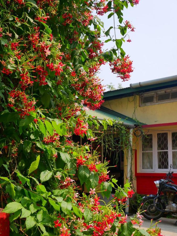 Gibbon Backpackers Hostel Guwahati Zewnętrze zdjęcie
